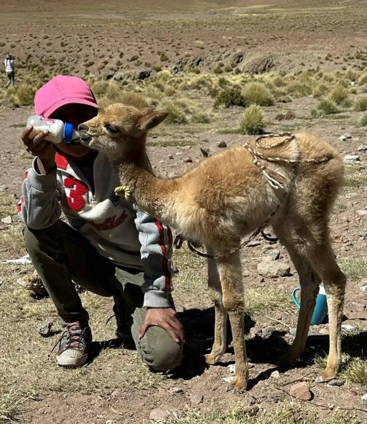 Foto: IICA Bolivia