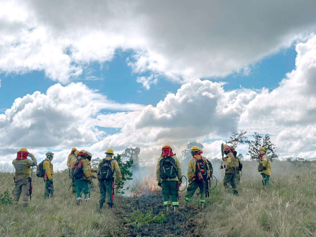 Chiquitanía, Chaco y Pantanal: Un futuro verde y resiliente a través del manejo comunitario del fuego