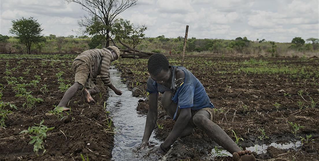 Proyecto en Mozambique