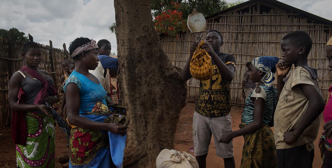 convocatoria ongd 2019