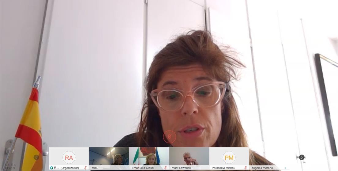 SECI videoconferencia