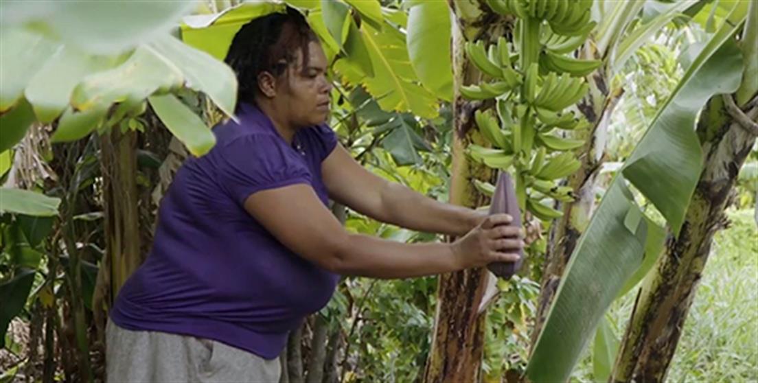 pequeños productores